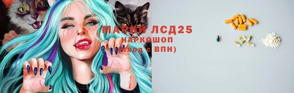 ГАЛЛЮЦИНОГЕННЫЕ ГРИБЫ Алзамай