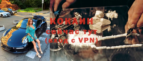 стаф Россошь