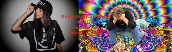 ГАЛЛЮЦИНОГЕННЫЕ ГРИБЫ Алзамай